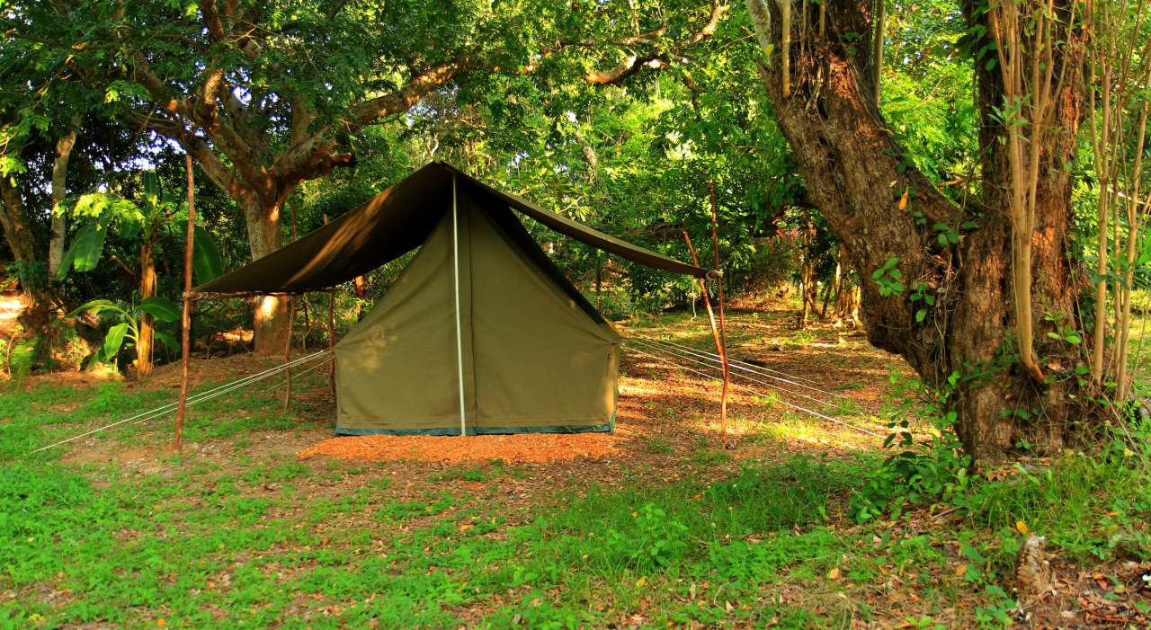 Tent Stay Sakleshpur homestay