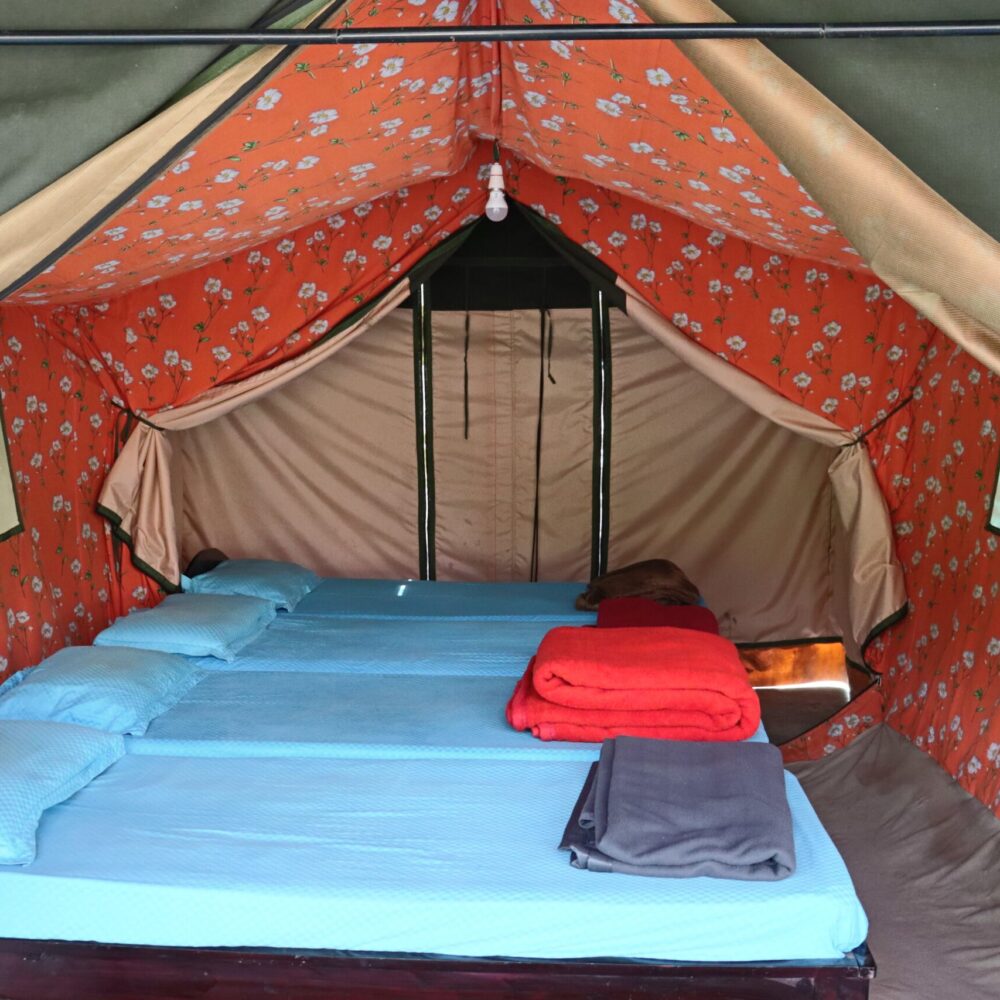 Camp Stay in Sakleshpur
