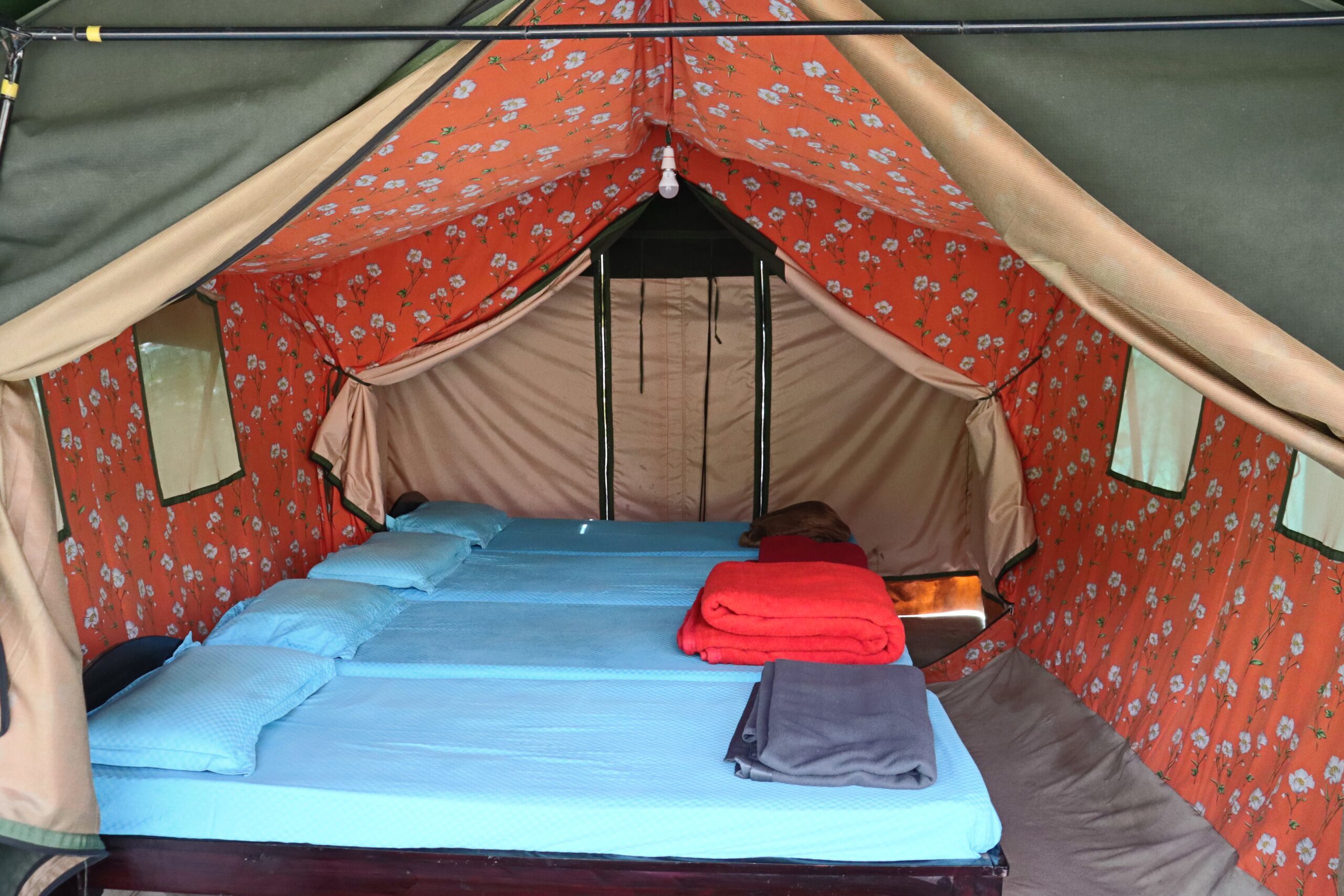 Camp Stay in Sakleshpur